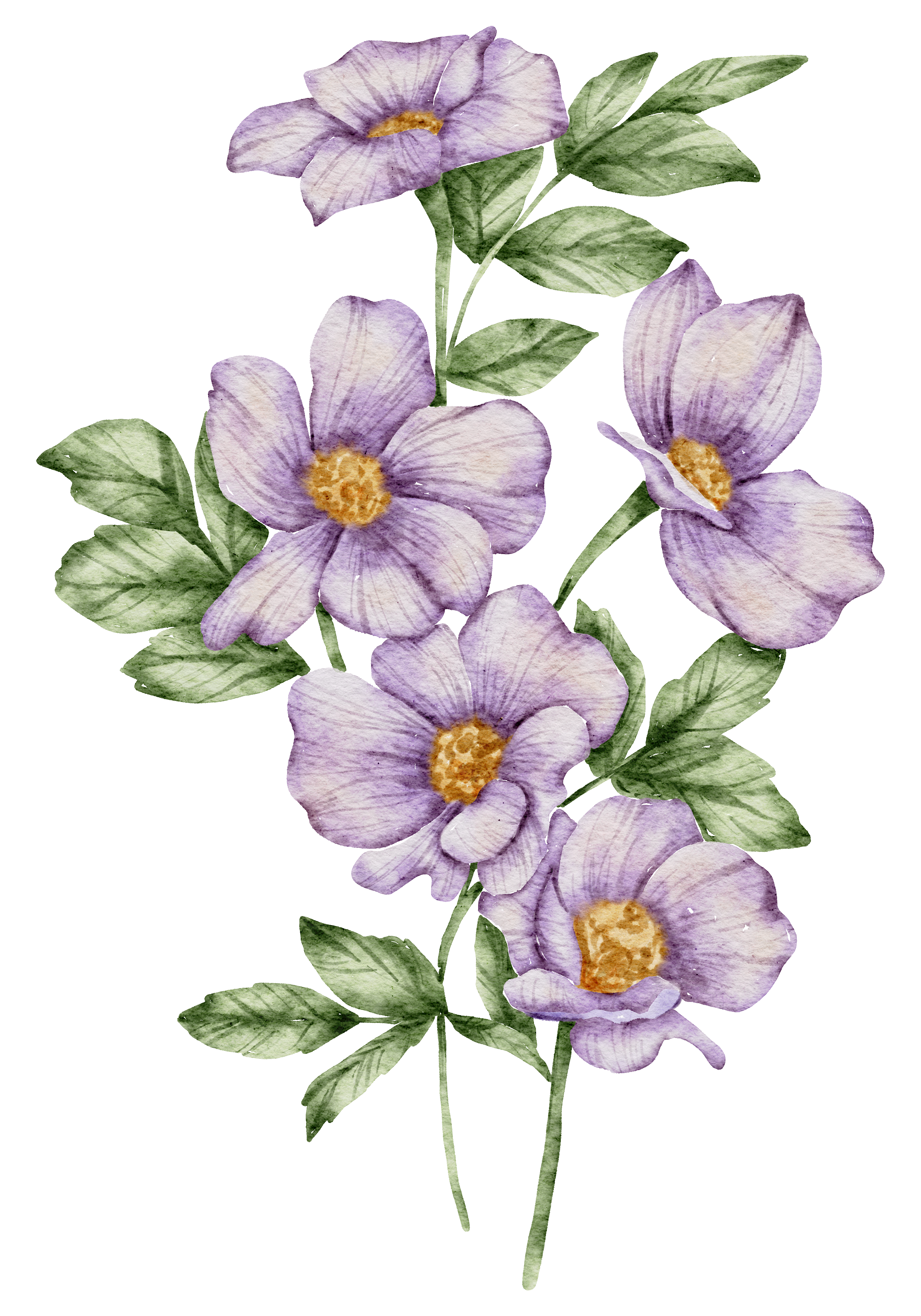 second separating flower